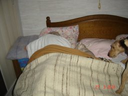 le_nouveau_bobby_20211126_1963517534